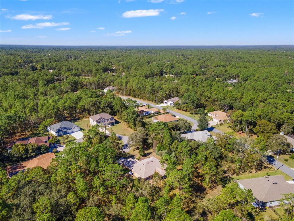 5 Boxleaf Court Homosassa, FL 34446 - Photo 50 of 58