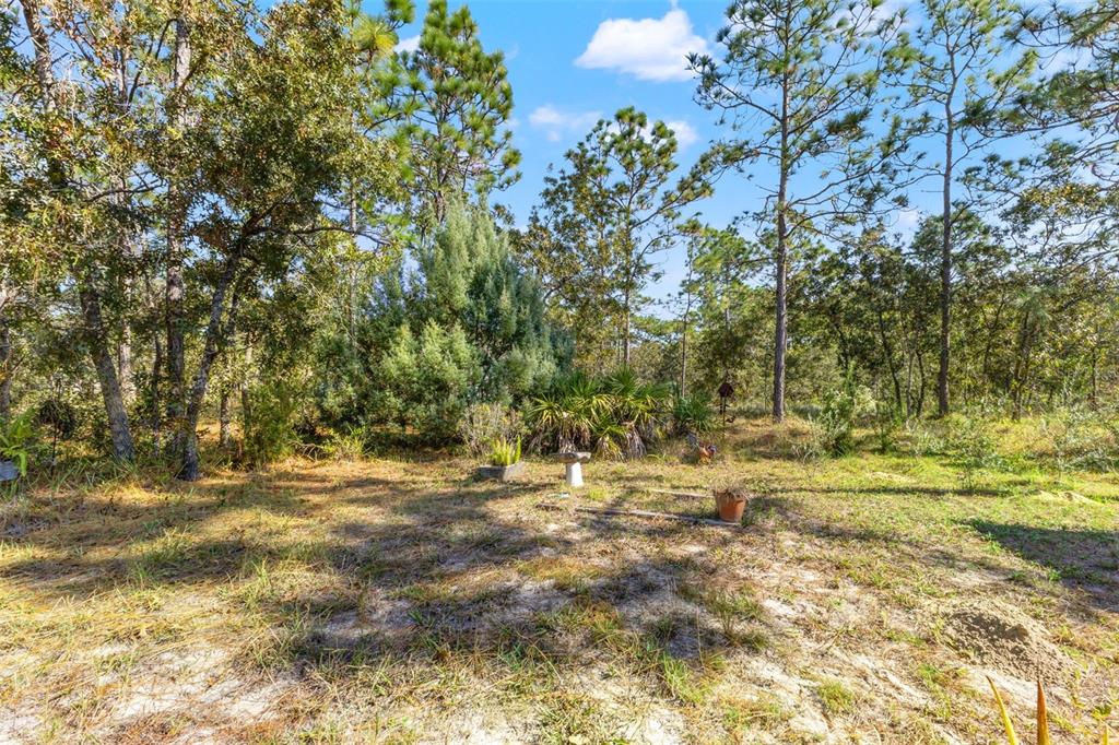 5 Boxleaf Court Homosassa, FL 34446 - Photo 54 of 58