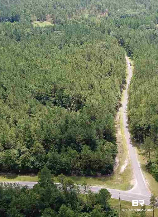 1 Hollingsworth Road Bay Minette, AL 36507 - Photo 3 of 6