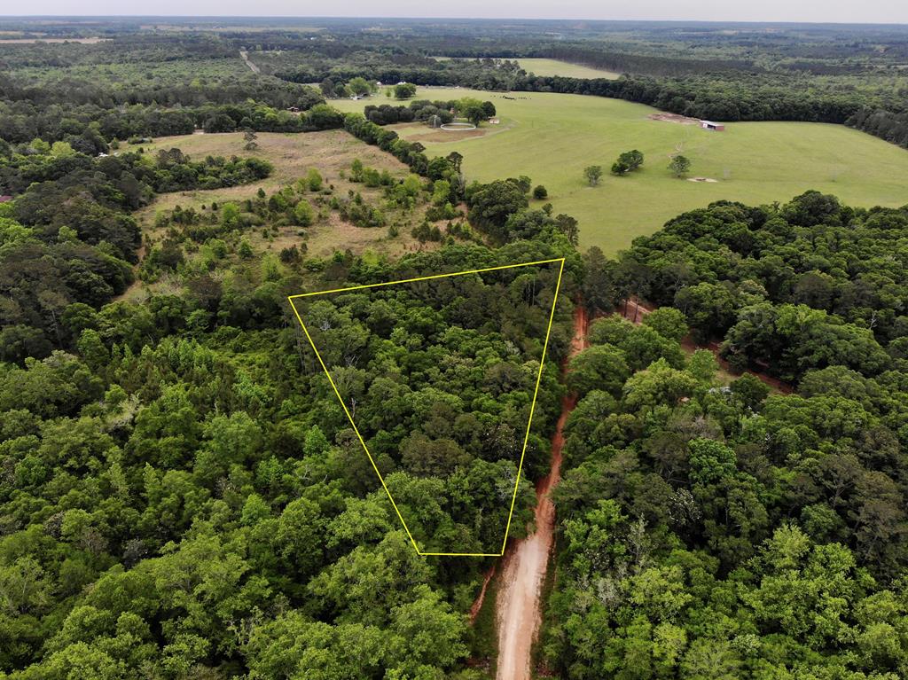 2-ac Corbin Road Newton, AL 36352 - Photo 11 of 15