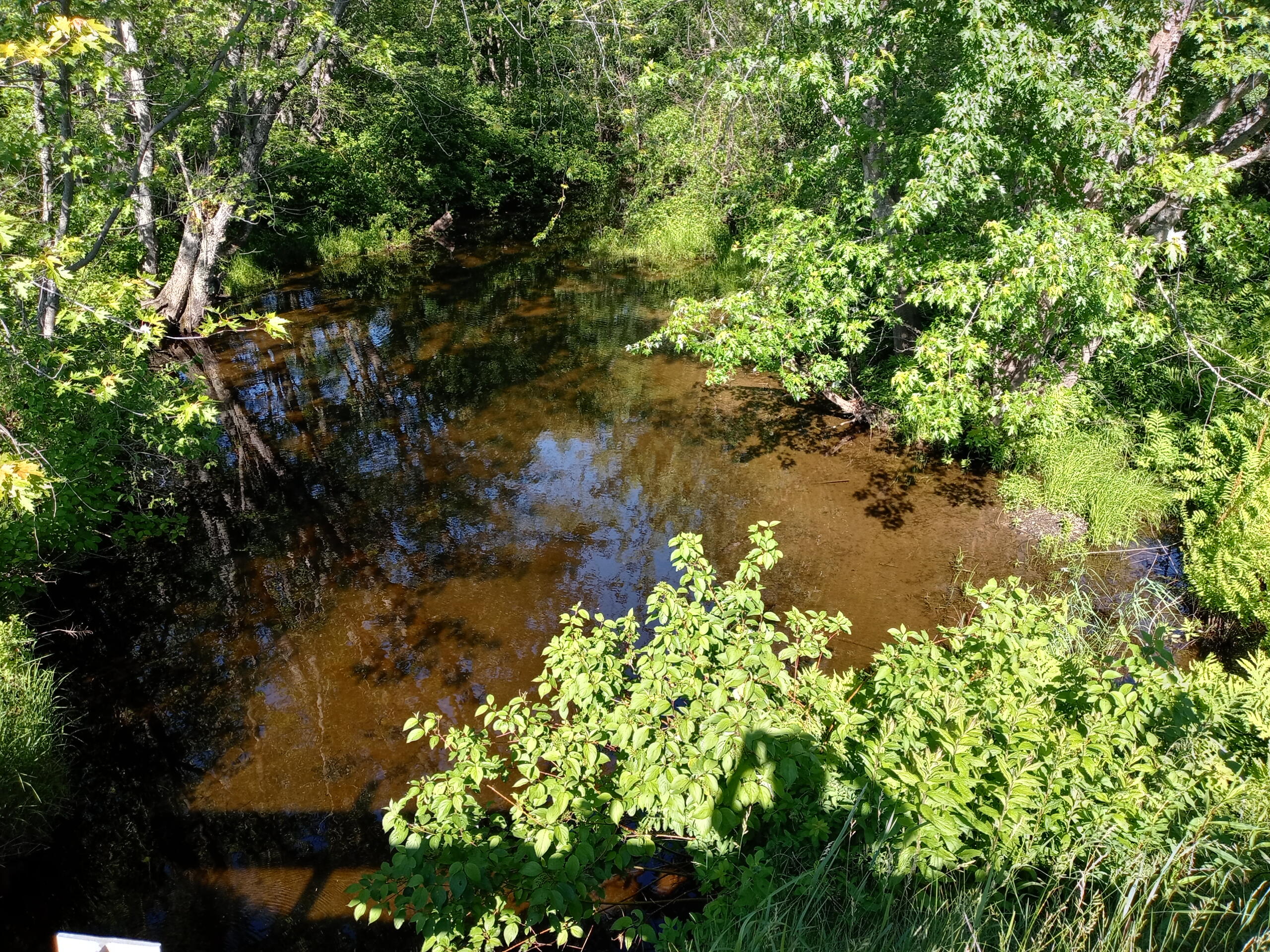 5 Map Road Jay, ME 04239 - Photo 22 of 23 0620221640b_HDR