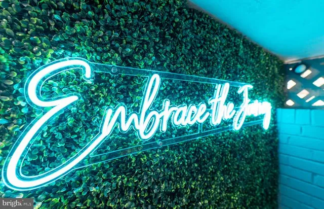 a backyard with plants