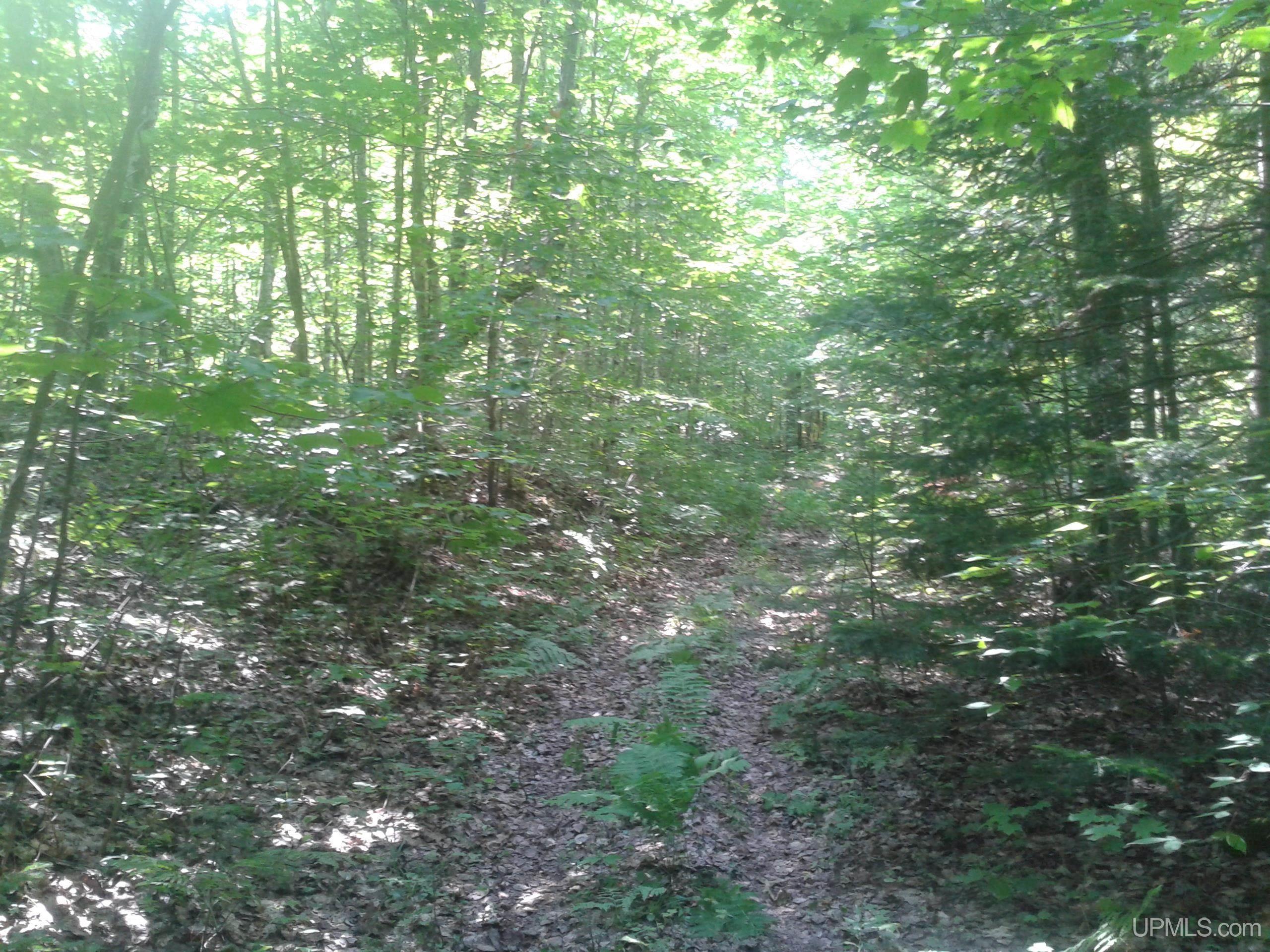 5.1 A Holli Blue Road Republic, MI 49879 - Photo 3 of 6