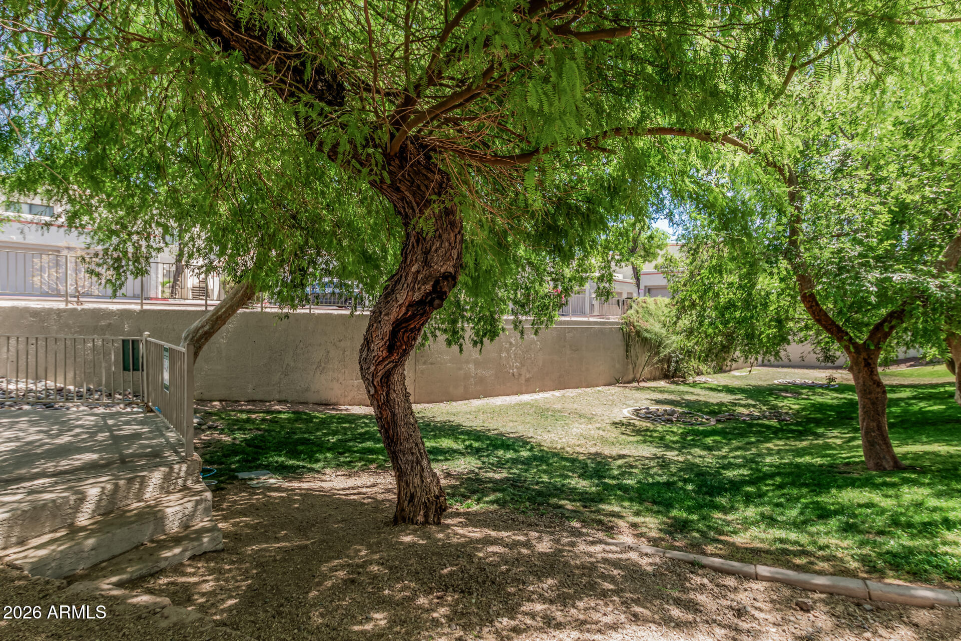 985 North Granite Reef Road, Unit 129 Scottsdale, AZ 85257 - Photo 30 of 38 a view of a yard with plants and a large tree