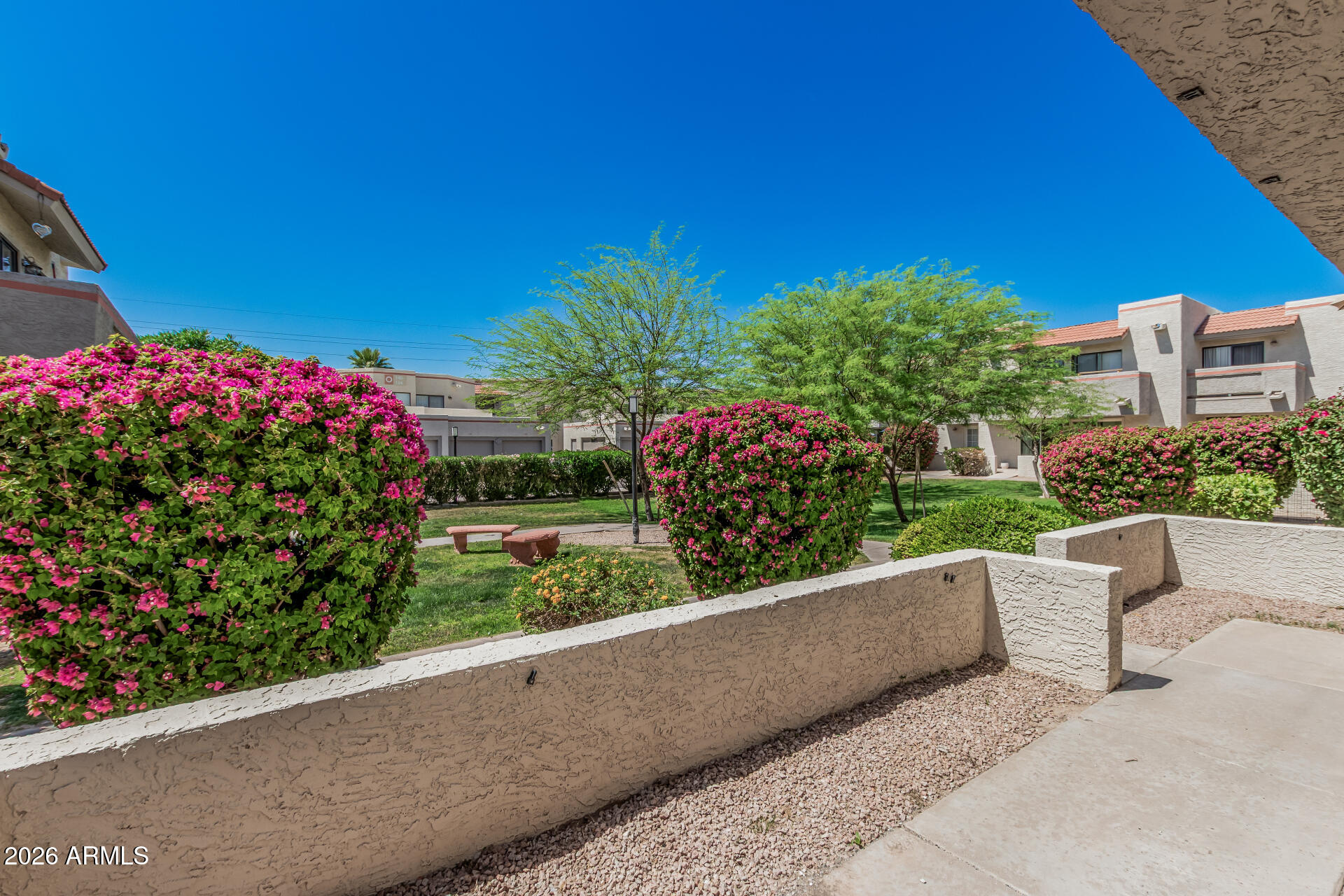 985 North Granite Reef Road, Unit 129 Scottsdale, AZ 85257 - Photo 5 of 38 a view of a garden with flowers and plants