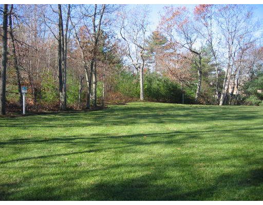 242 Bridle Trail Road Needham, MA 02492 - Photo 3 of 13