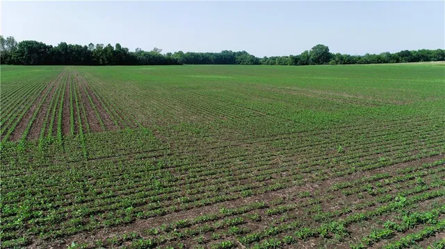 $316,000 | T Highway, Pattonsburg, MO 64670