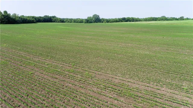 $316,000 | T Highway, Pattonsburg, MO 64670