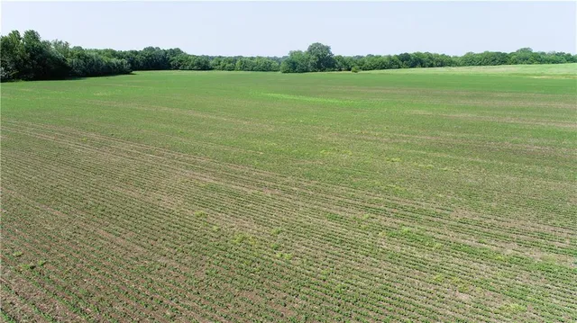 $316,000 | T Highway, Pattonsburg, MO 64670