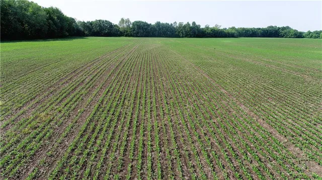 $316,000 | T Highway, Pattonsburg, MO 64670