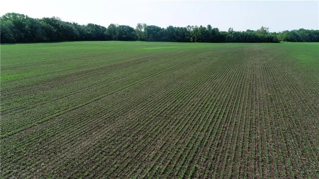 $316,000 | T Highway, Pattonsburg, MO 64670