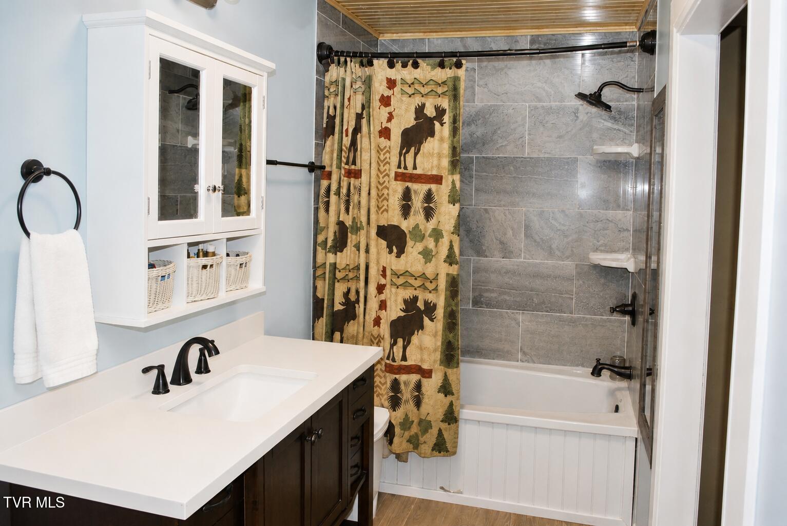 225 Shaw Road Chuckey, TN 37641 - Photo 19 of 33 Bathroom 1