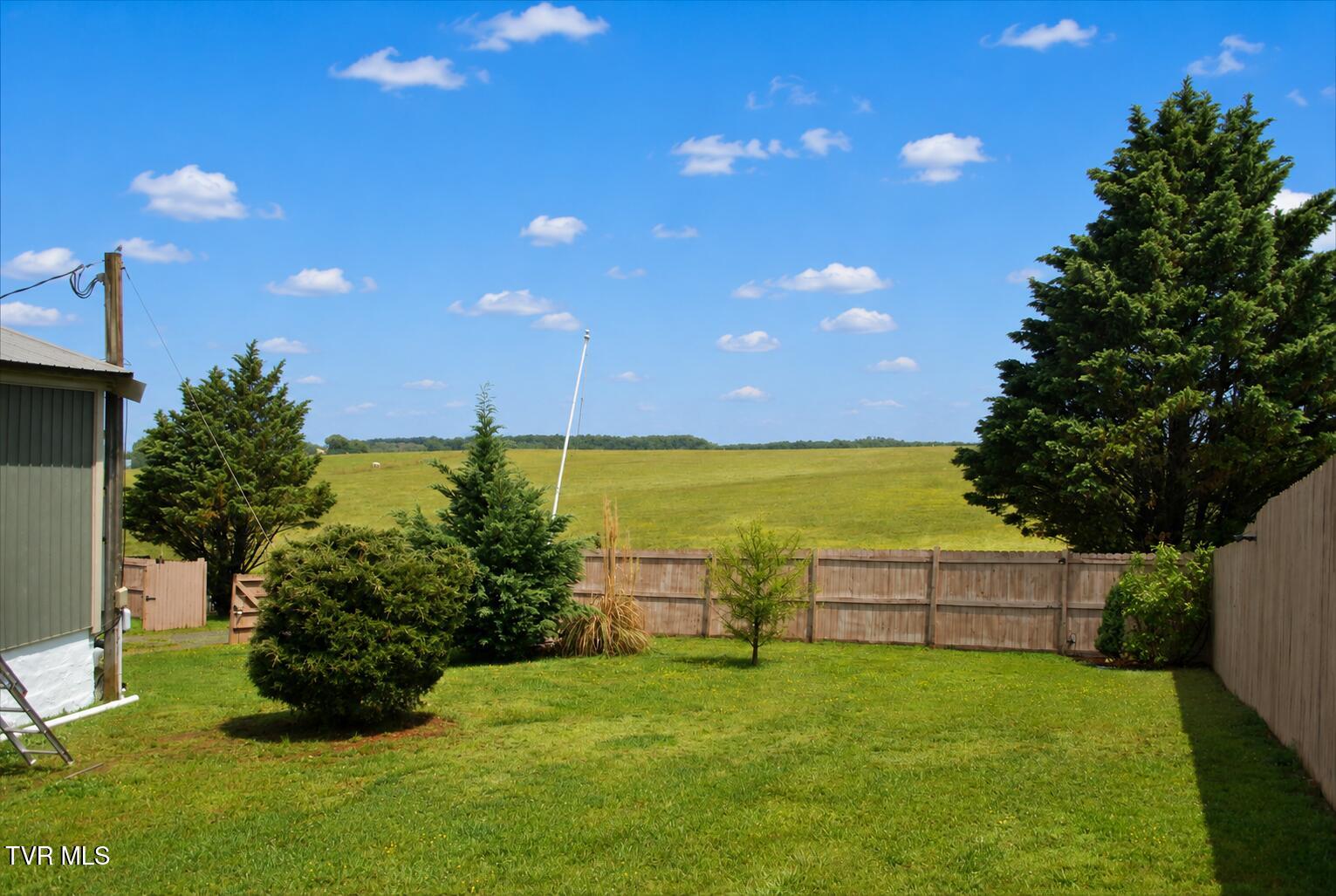 225 Shaw Road Chuckey, TN 37641 - Photo 27 of 33 Side Yard