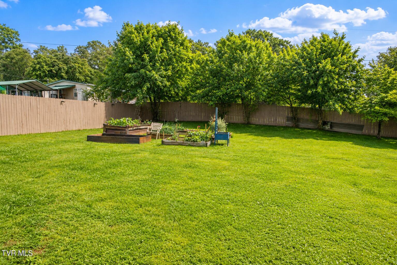 225 Shaw Road Chuckey, TN 37641 - Photo 28 of 33 Backyard