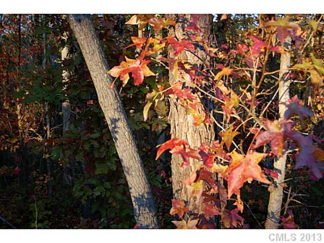 Lot 4 Ridgemont Drive, Unit 4 Denver, NC 28037 - Photo 2 of 12 Gallery Image 2
