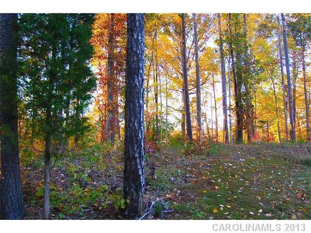 Lot 4 Ridgemont Drive, Unit 4 Denver, NC 28037 - Photo 3 of 12 Gallery Image 3