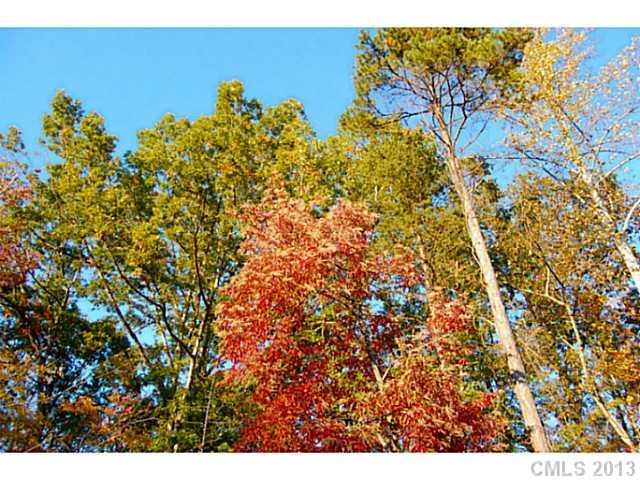 Lot 4 Ridgemont Drive, Unit 4 Denver, NC 28037 - Photo 5 of 12 Gallery Image 5