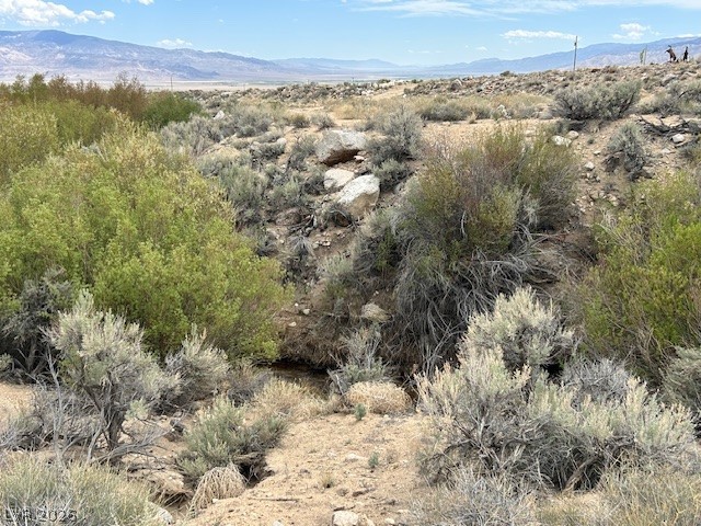 730 Chiatovich Crk Road Dyer, NV 89010 - Photo 2 of 3