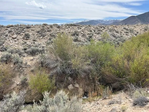 $49,900 | 730 Chiatovich Crk Road, Dyer, NV 89010