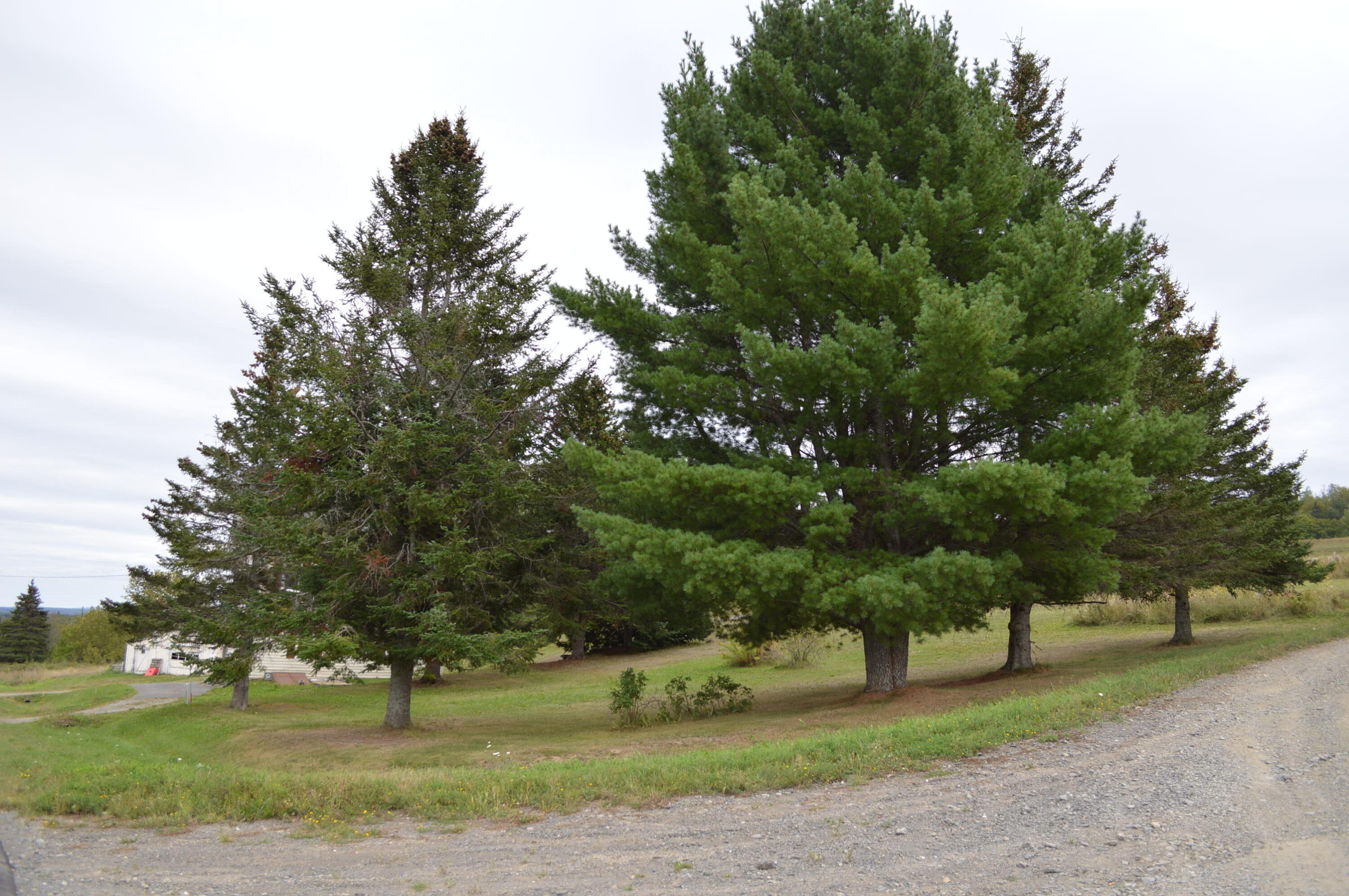 153 Pelletier Road Fort Kent, ME 04743 - Photo 10 of 36 From side front corner