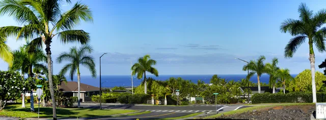 a view of a palm trees in front of a house