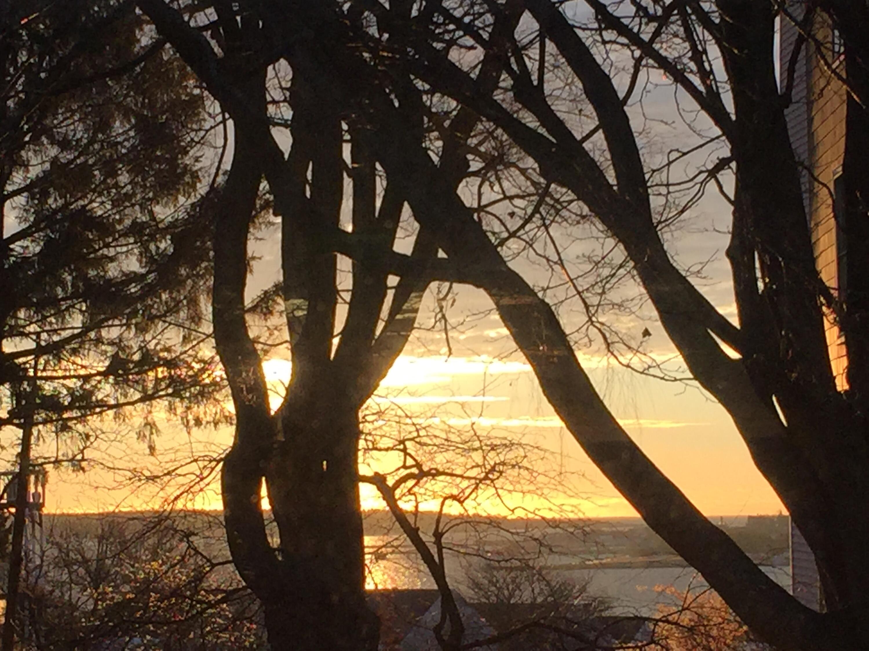 103 Monument Street, Unit 13 Portland, ME 04101 - Photo 81 of 100 IMG_6653