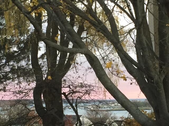 103 Monument Street, Unit 13 Portland, ME 04101 - Photo 82 of 100 IMG_6440