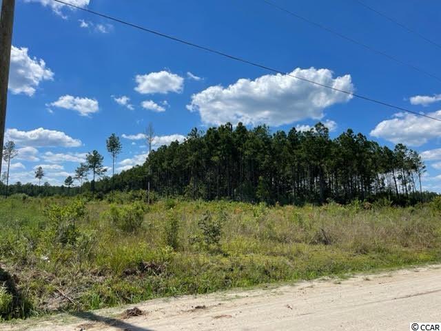 Tract G Cheyenne Road Conway, SC 29526 - Photo 1 of 5 Gallery Image 1