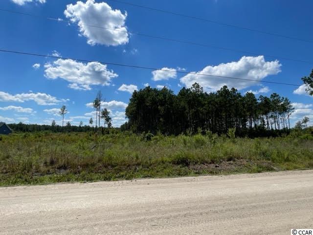 Tract G Cheyenne Road Conway, SC 29526 - Photo 2 of 5 Gallery Image 2
