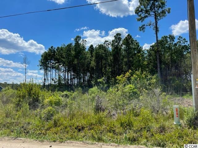 Tract G Cheyenne Road Conway, SC 29526 - Photo 3 of 5 Gallery Image 3