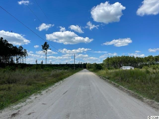 Tract G Cheyenne Road Conway, SC 29526 - Photo 4 of 5 Gallery Image 4