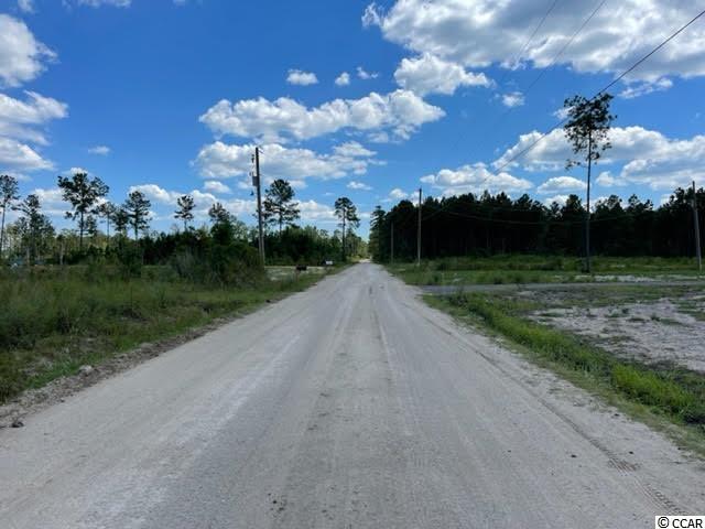 Tract G Cheyenne Road Conway, SC 29526 - Photo 5 of 5 Gallery Image 5