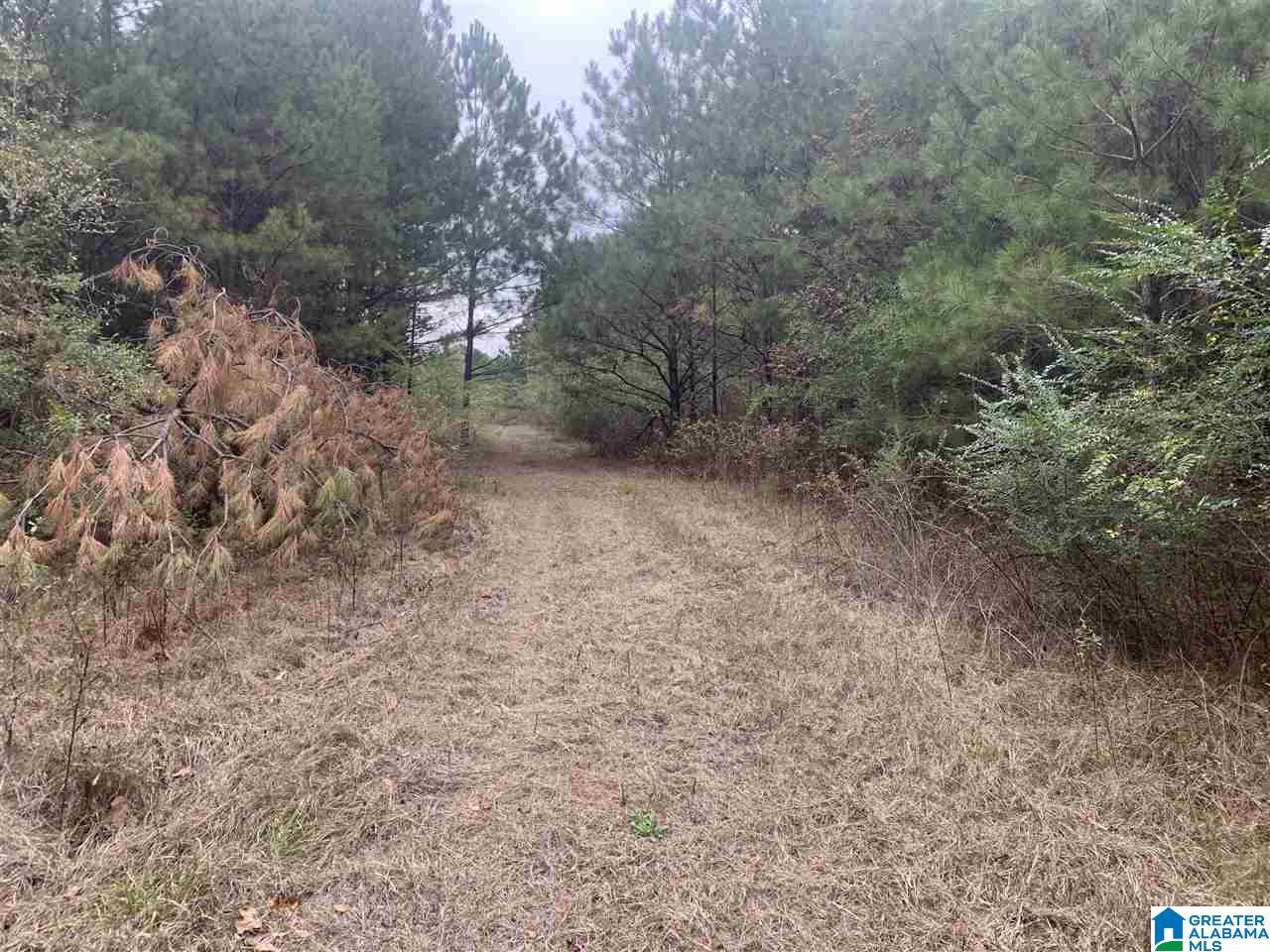 0 Homestead Drive, Unit 1 Springville, AL 35146 - Photo 20 of 32