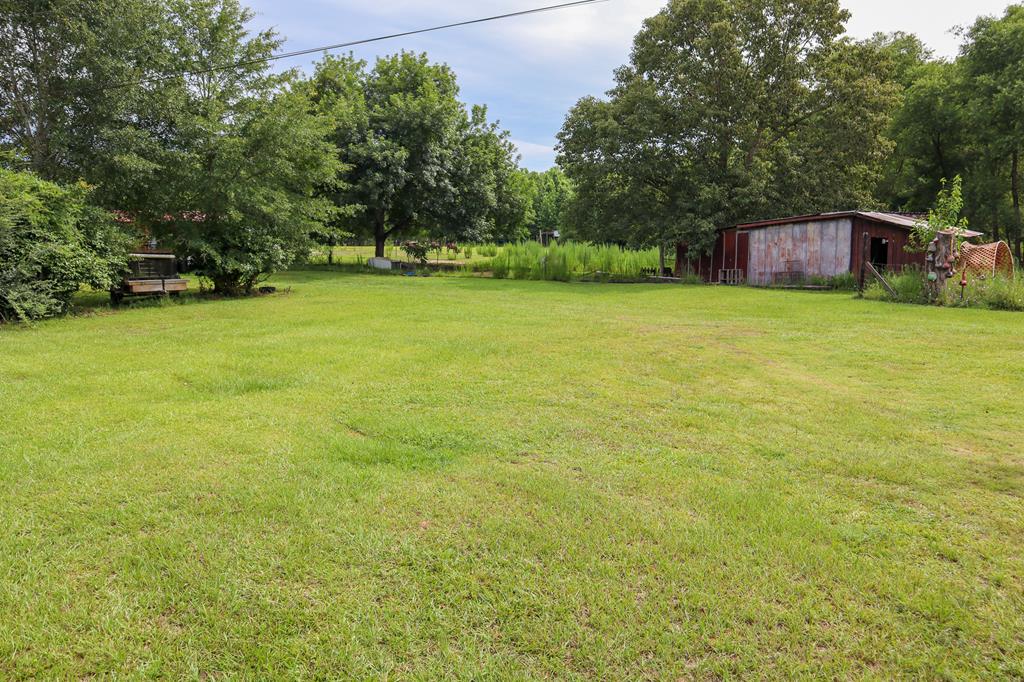 0 Watson Bridge Road Dothan, AL 36303 - Photo 7 of 9