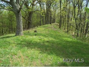 2582 Triplett Road Spencer, WV 25276 - Photo 17 of 24 Nice clearing