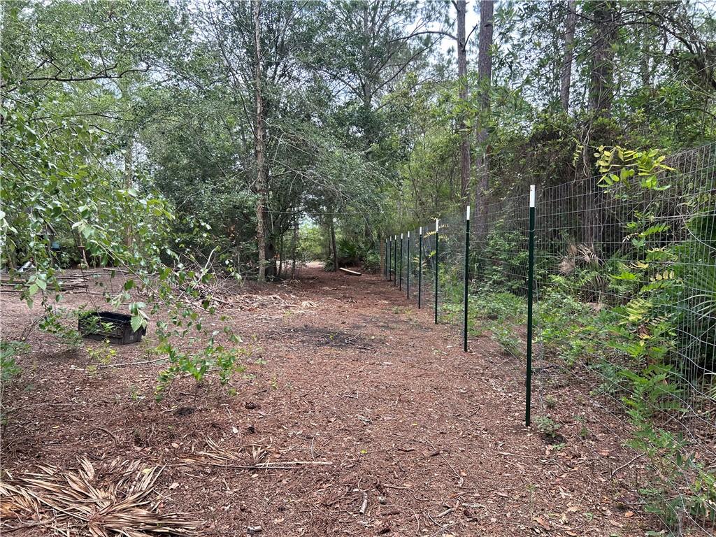 114 Jones Road Hortense, GA 31543 - Photo 16 of 25 a view of a forest