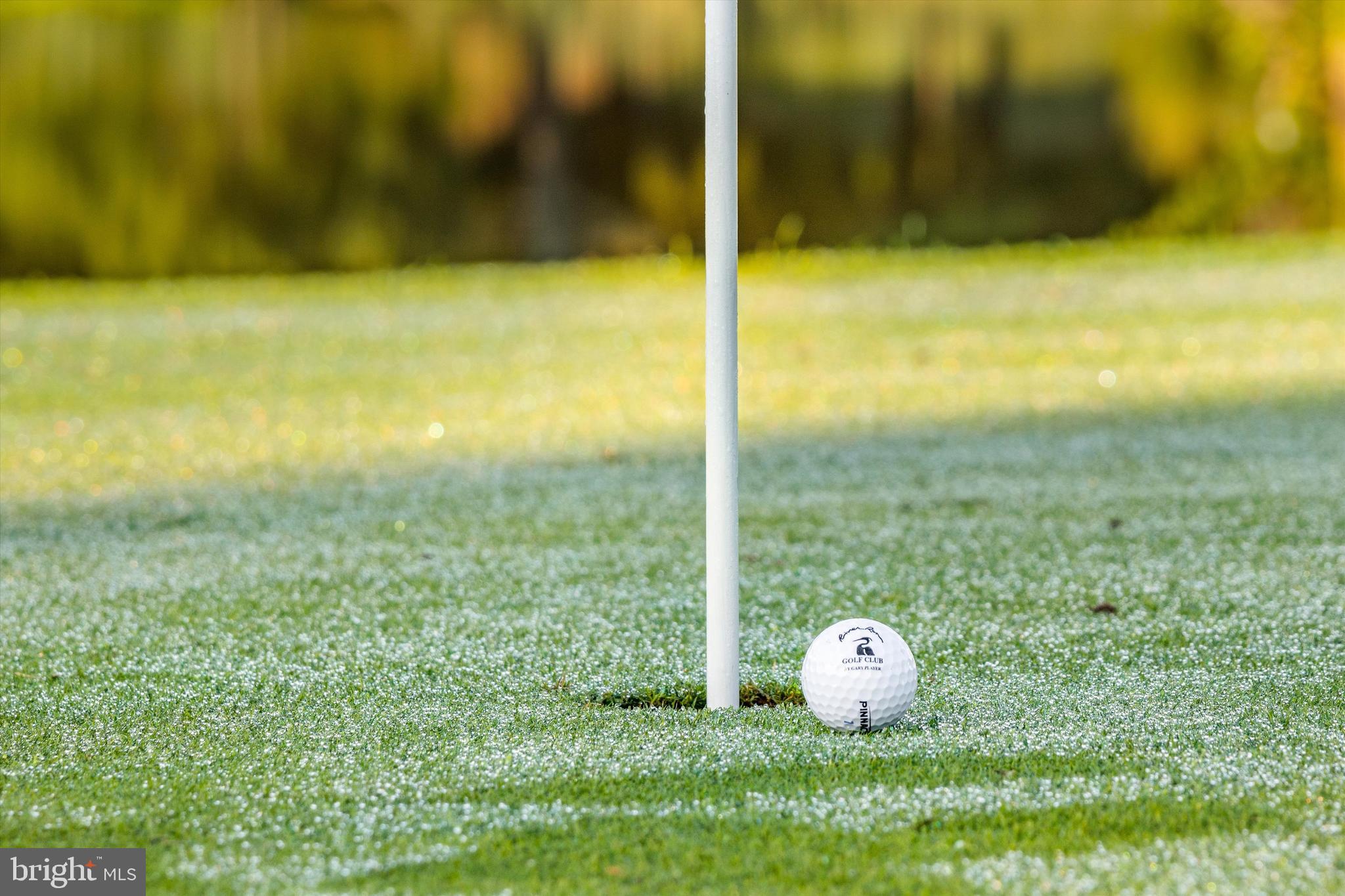 Lot #192 Medinah Lane Berlin, MD 21811 - Photo 37 of 39