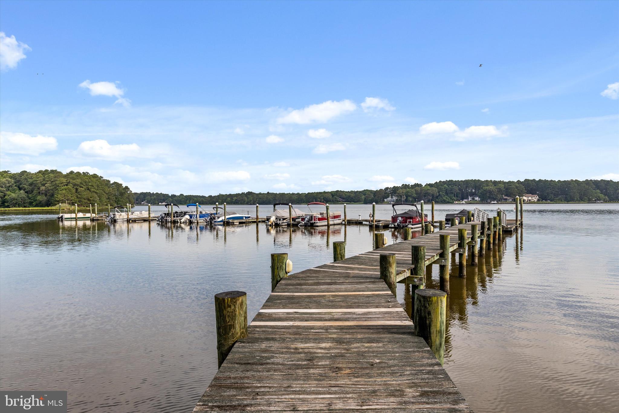 Lot #192 Medinah Lane Berlin, MD 21811 - Photo 7 of 39