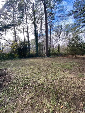 a view of a garden with trees