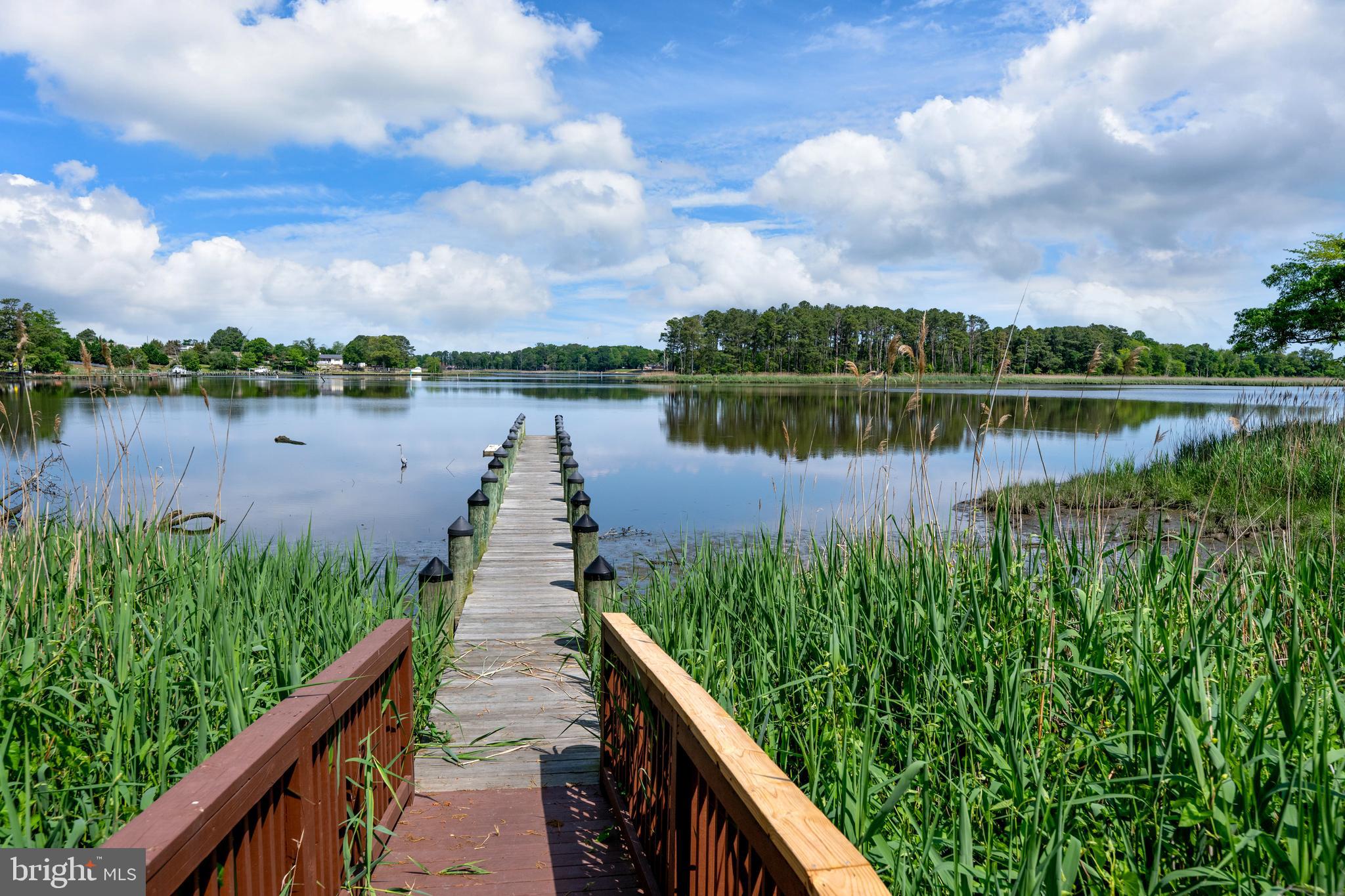 10023 Iron Pointe Drive Extension, Unit 201B2 Millsboro, DE 19966 - Photo 40 of 41