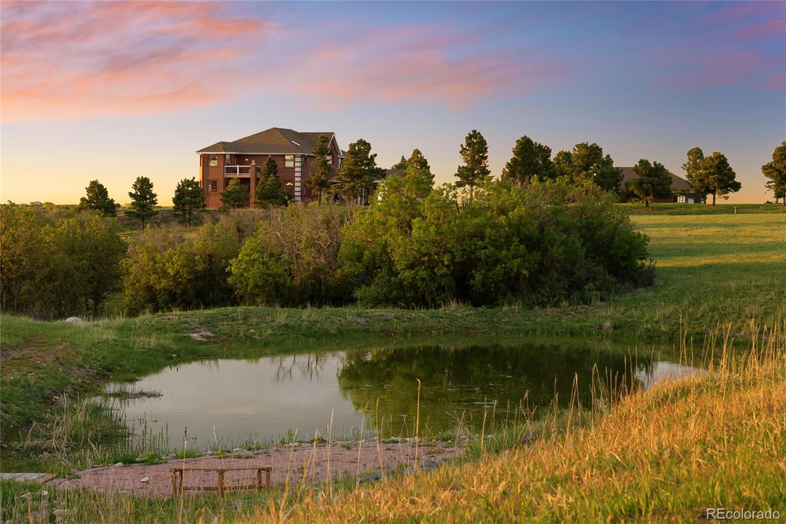 4347 Crowfoot Valley Road Castle Rock, CO 80108 - Photo 2 of 50