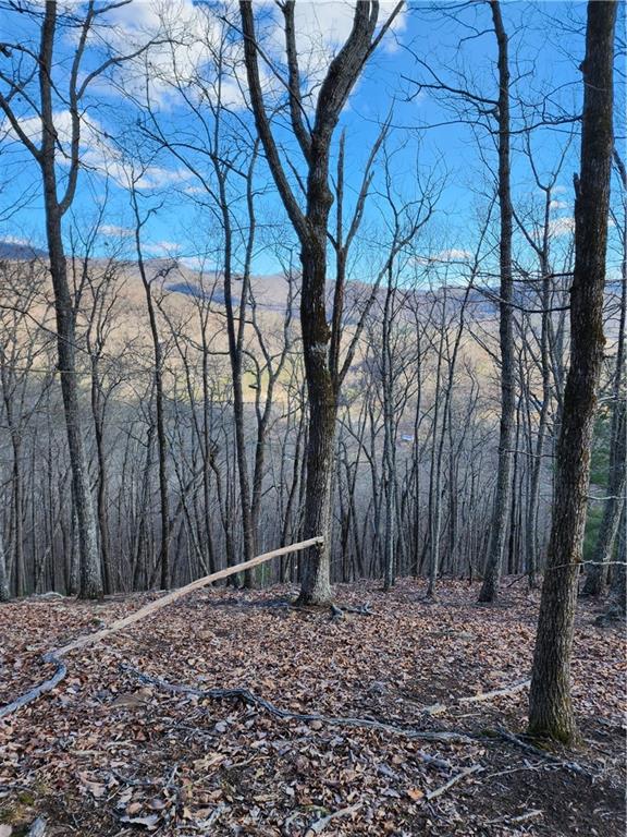 0 Trackrock Gap Road Blairsville, GA 30512 - Photo 6 of 7