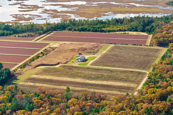 $527,000 | N4085 Cranberry Road, Warrens, WI 54666