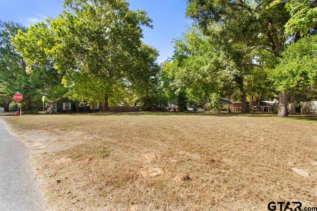 111 Mallory Street Lindale, TX 75771 - Photo 3 of 7