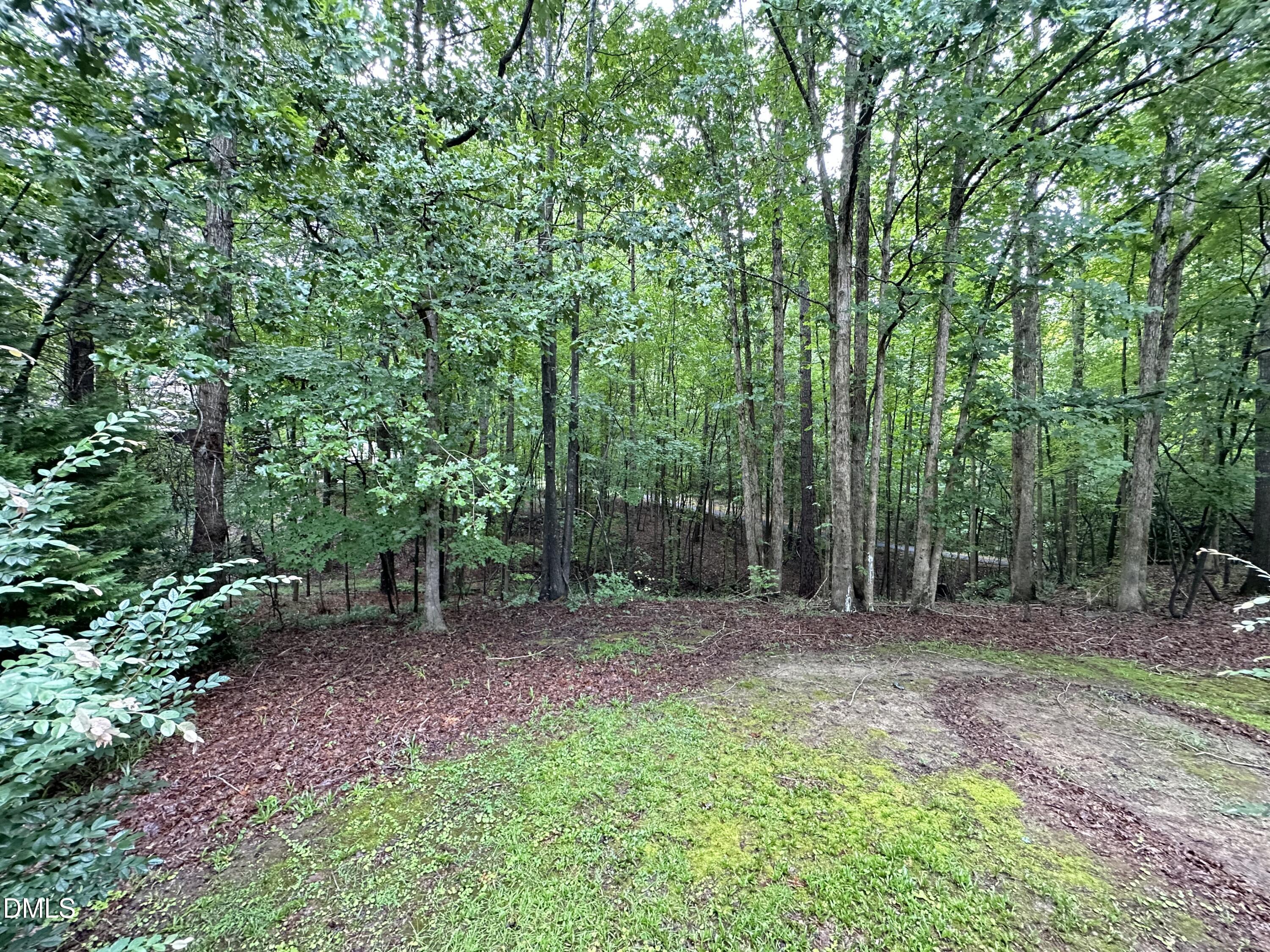 159 Geranium Way Clayton, NC 27527 - Photo 38 of 40 IMG_4935