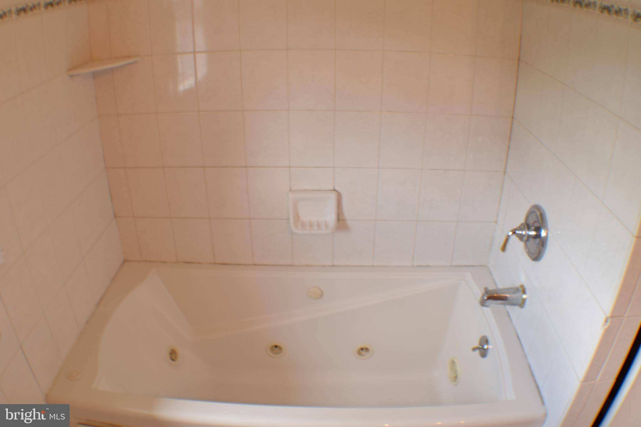 719 Buttonwood Drive Springfield, PA 19064 - Photo 14 of 31 719 Buttonwood Drive Main Bath Tub
