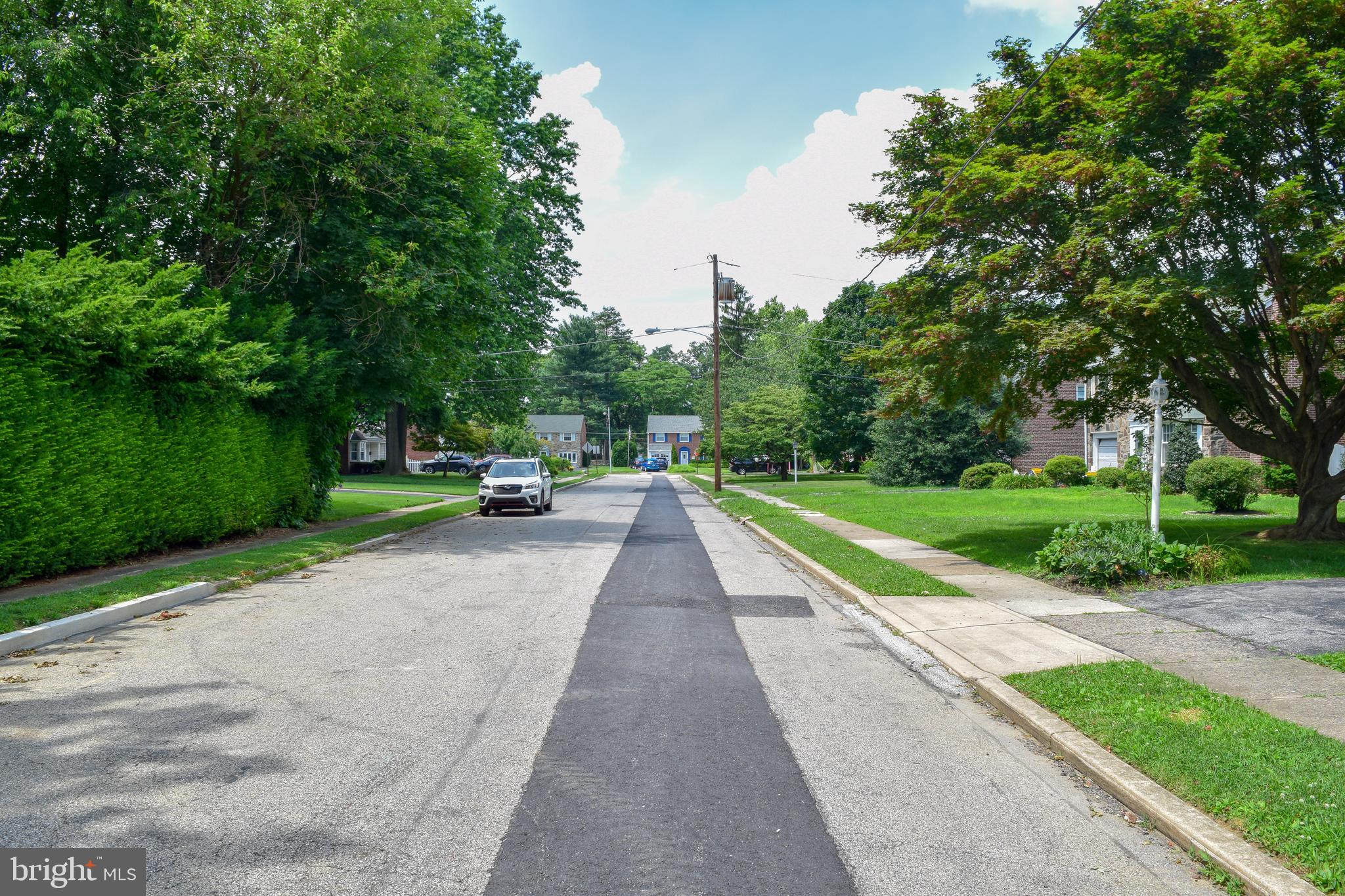 719 Buttonwood Drive Springfield, PA 19064 - Photo 29 of 31 719 Buttonwood Drive street