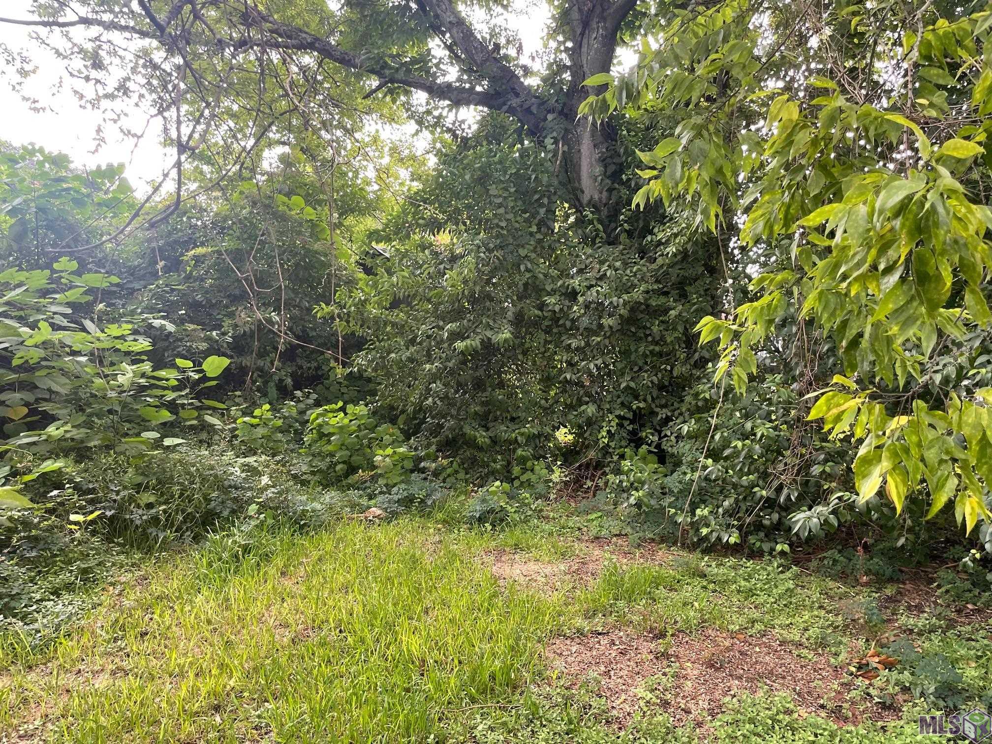 3938 Alliquippa Street Baton Rouge, LA 70805 - Photo 8 of 8