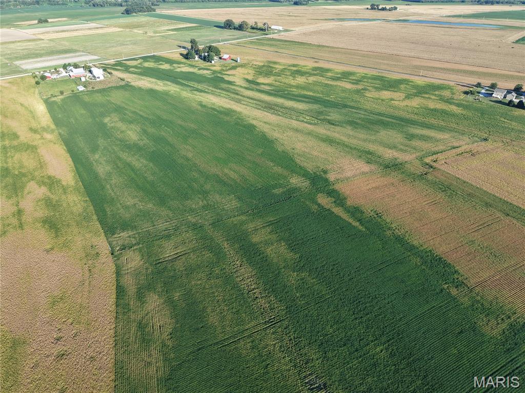 0 Bluff Road Valmeyer, IL 62295 - Photo 10 of 16 Gallery Image 10
