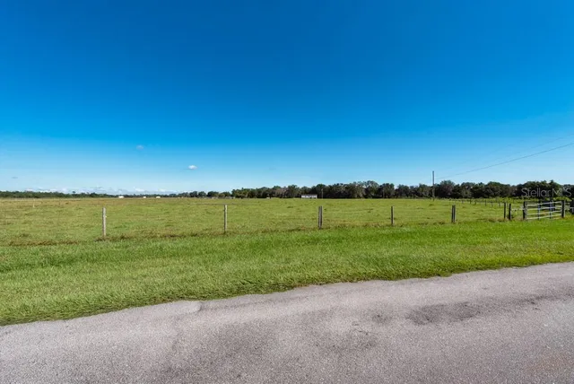 a view of a bench in a garden